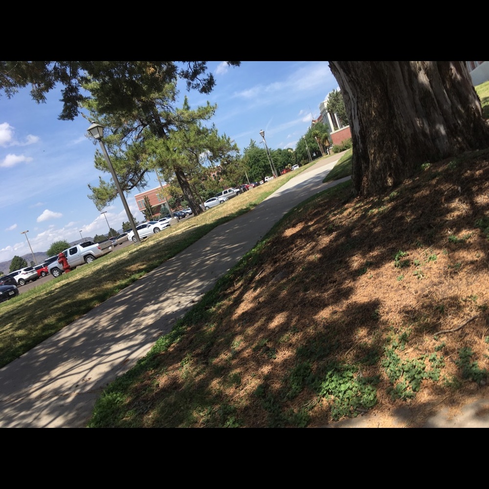 Meet your Posher, Isabel